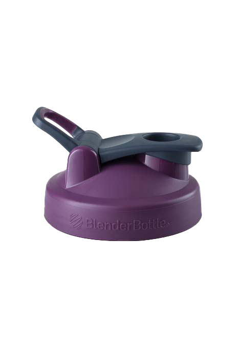replacement-lids-b6 Pro24_28_32_Plum.png
